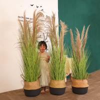 uploads/erp/collection/images/Home Garden/CongDing/XU0611695/img_b/XU0611695_img_b_3